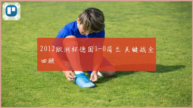 2012欧洲杯德国1-0荷兰 关键战全回顾