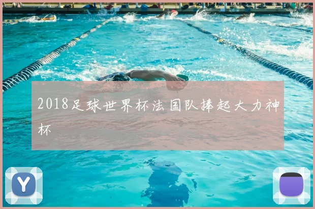 2018足球世界杯法国队捧起大力神杯