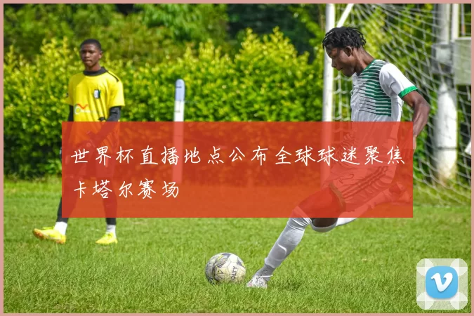 世界杯直播地点公布全球球迷聚焦卡塔尔赛场