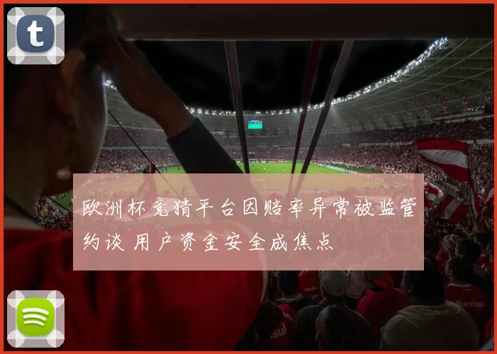 欧洲杯竞猜平台因赔率异常被监管约谈 用户资金安全成焦点