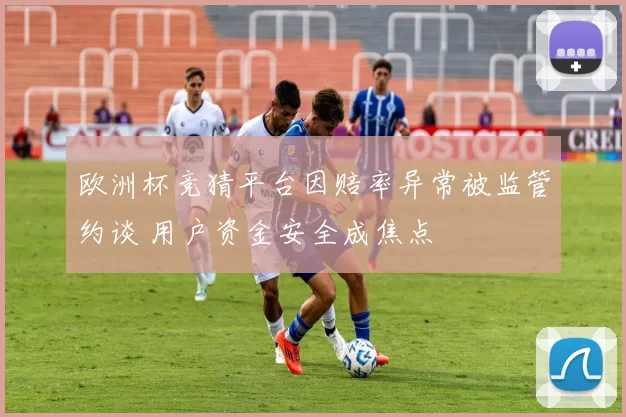 欧洲杯竞猜平台因赔率异常被监管约谈 用户资金安全成焦点